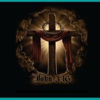 4731-Image3john316