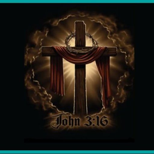 4731-Image3john316