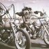 4732-bunnybiker