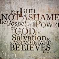 4740-3380306433_926ee22156