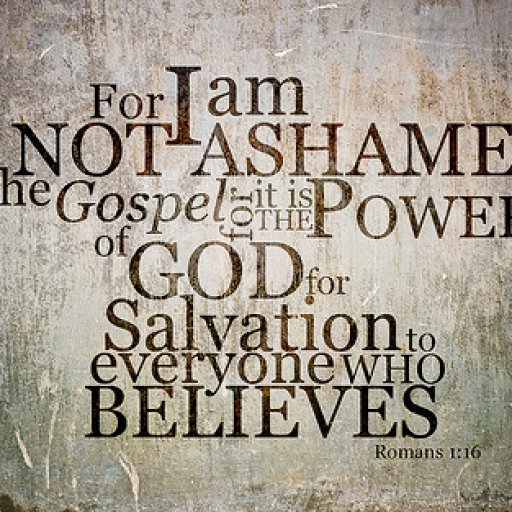 4740-3380306433_926ee22156