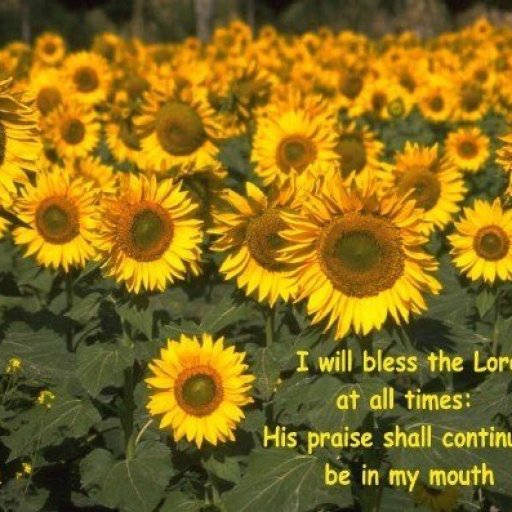 4776-IWILLBLESSTHELORD