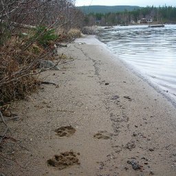 4794-May2010017.jpg
