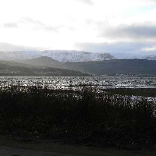 4797-BlowMeDownfromAcrosstheBayNov2009061