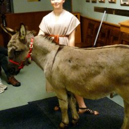 4876-ChristmasEve2010004.jpg