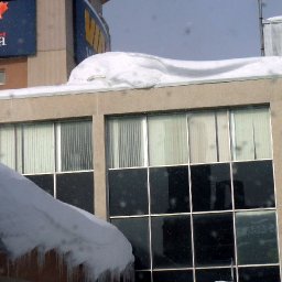 4891-Winter10014.jpg