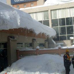 4892-Winter10013.jpg