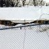 4894-Winter10003