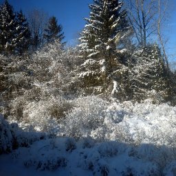 4895-Winter10002.jpg