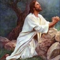 4914-jesuspraying.jpg