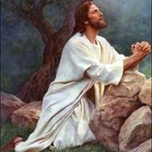 4914-jesuspraying