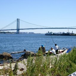 5146-CIMG8720.JPG