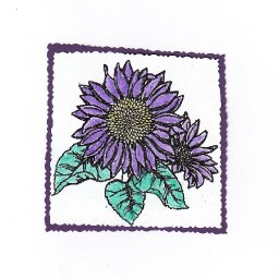 5242-purplesunflower.jpeg.jpg