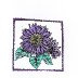 5242-purplesunflower
