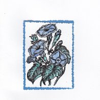 5246-blueforgetmenots.jpeg.jpg