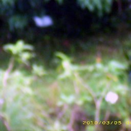 5640-IMG_0945_edited.JPG