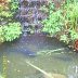 5641-IMG_0926
