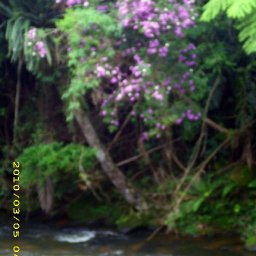 5646-IMG_0897_edited.JPG