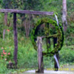 5647-IMG_0894_edited.JPG
