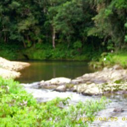 5655-CpiadeIMG_0912_edited.JPG