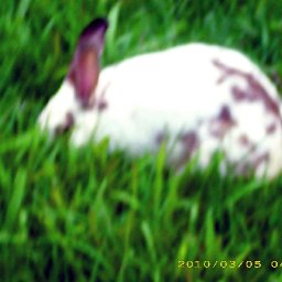 5657-CpiadeIMG_0891_edited.JPG