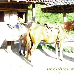 5658-CpiadeIMG_0884_edited.JPG