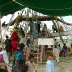 5730-DSC00087