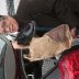 589-IMG_3689