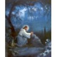 5941-51bkwGRnacL__SL500_SS100_