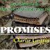 593-PROMISES20132_Page_1
