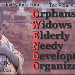 6176-OWENDOLOGOCreation.jpg