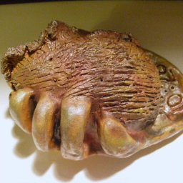 6190-Handsculpturetop2.JPG