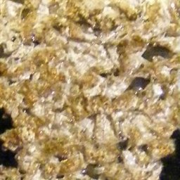6249-DSCF8456.JPG