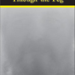 6367-FOG1.jpg