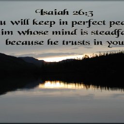 6469-PerfectPeace.JPG