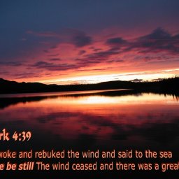 6470-Peace.jpg