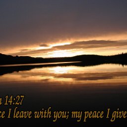 6471-PeaceIGive.jpg