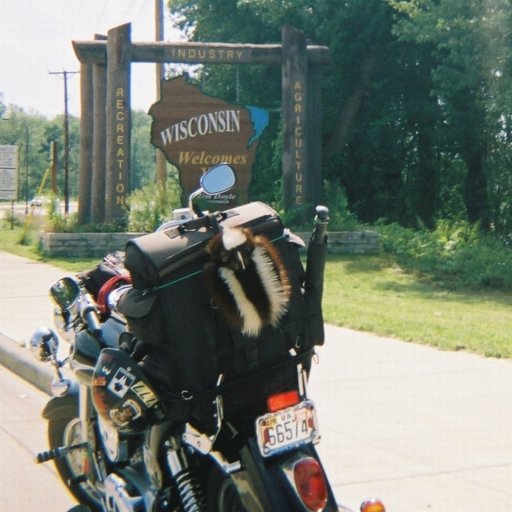 6493-SturgisSafe4