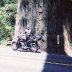 6494-SturgisSafe39