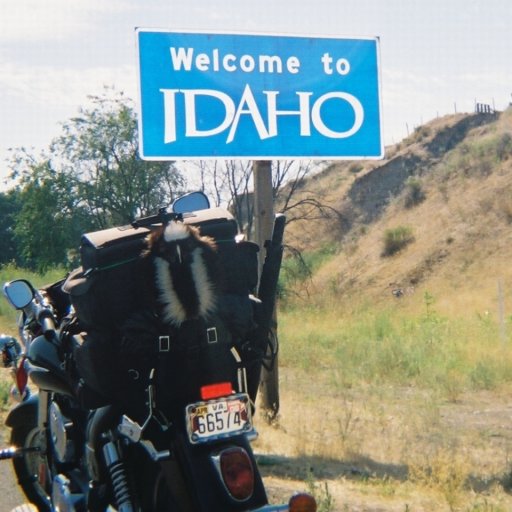 6528-SturgisPriority6