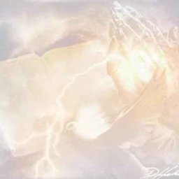 6798-praying_hands.jpg