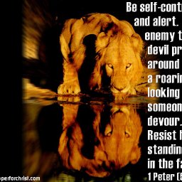 6809-lion_1024.jpg