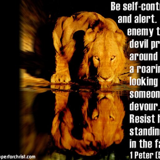 6809-lion_1024