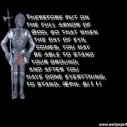 6813-armour_1024.jpg