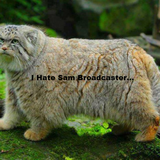 I Hate Sam Broadcaster