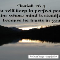 Perfect Peace