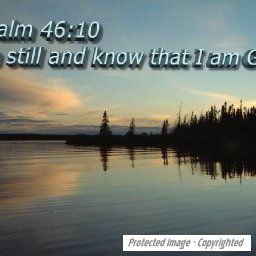 Be Still.jpg