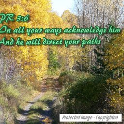 Green Path.jpg
