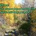 Green Path
