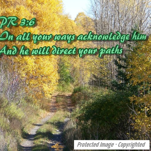 Green Path